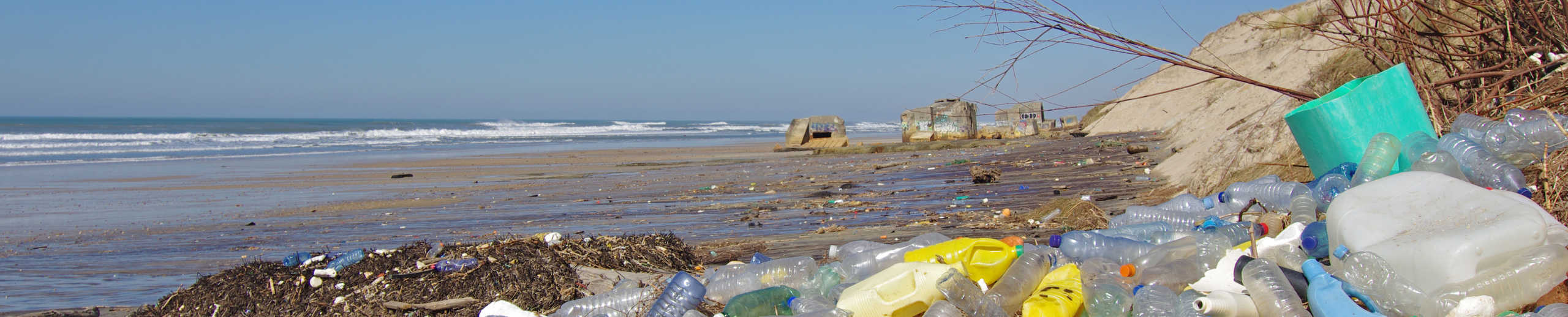 Ein Strand mit unmengen an Plastikmüll