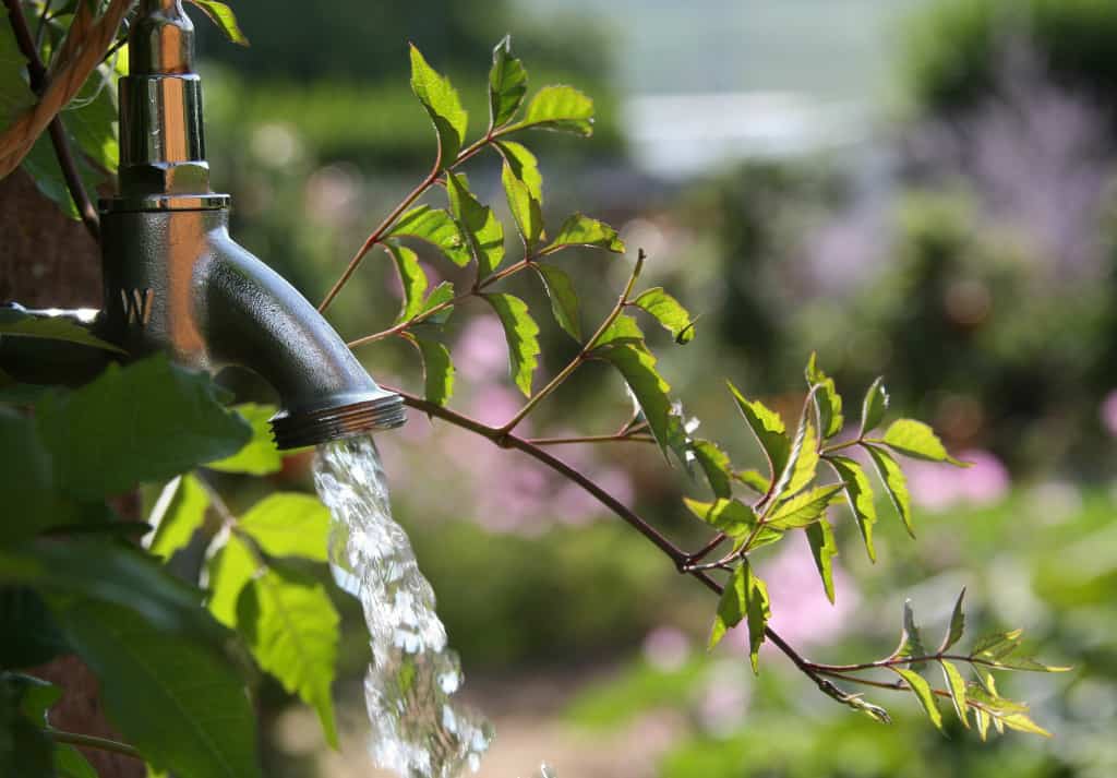 Wasserhahn im Garten