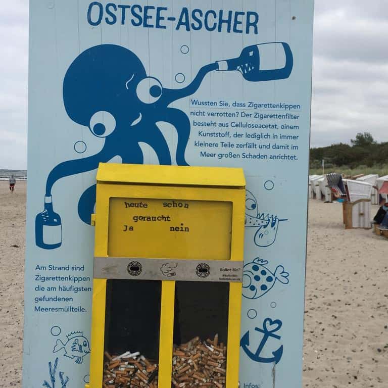 Ostsee-Ascher am Strand