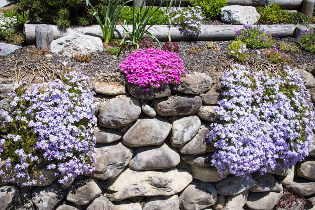 eine frisch bepflanzte Steinmauer