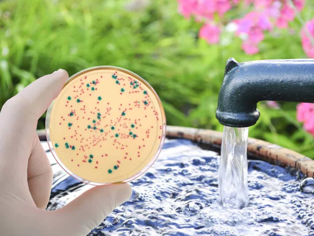 Bakterien im Brunnewasser festgestellt