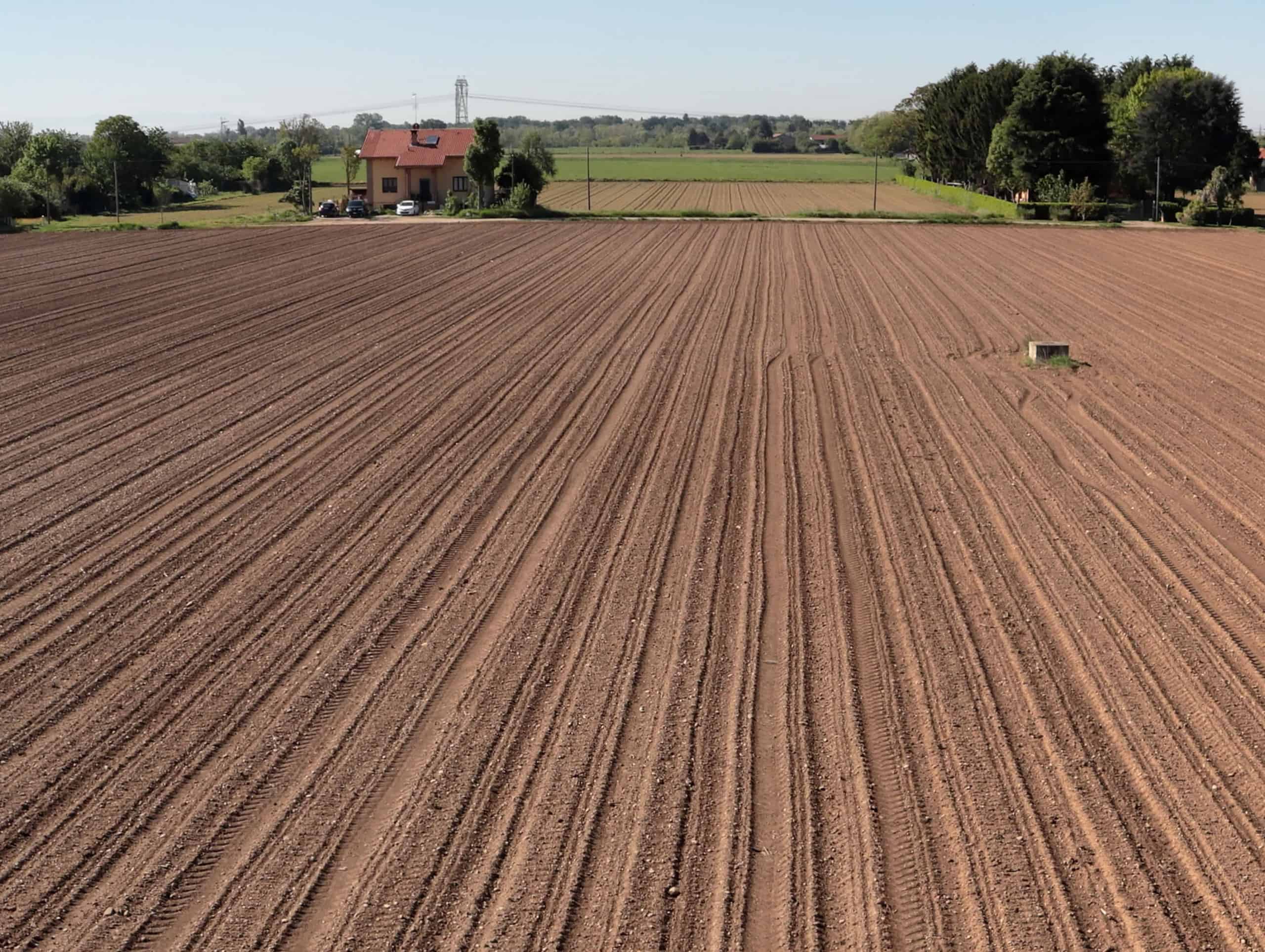 Feld mit Traktorspurlinien aus einer Vogelperspektive