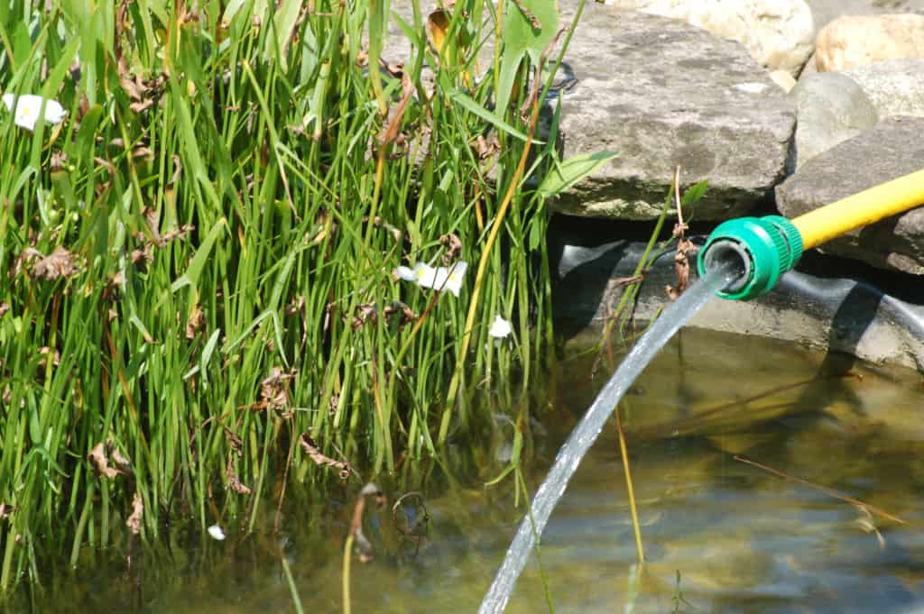Wasserschlauch befüllt Teich mit Wasser