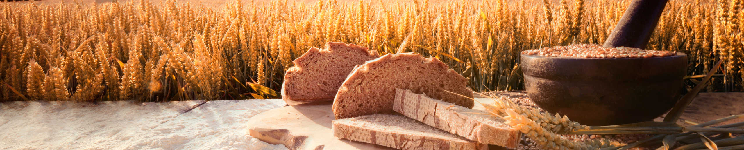 Brot vor Feld
