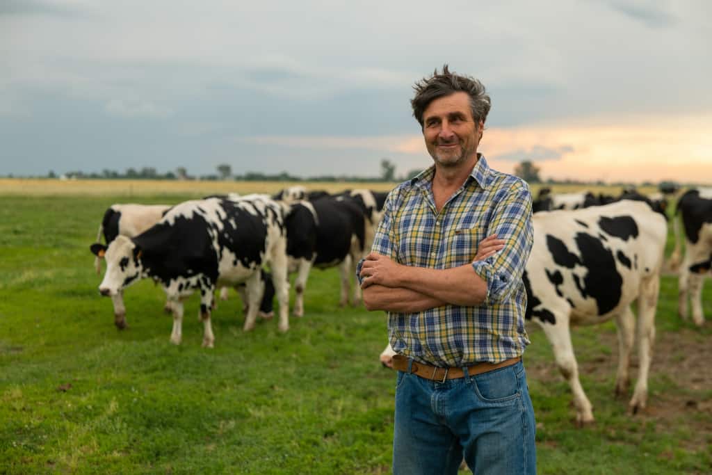 Landwirt steht vor seinen Kühen auf einem Feld