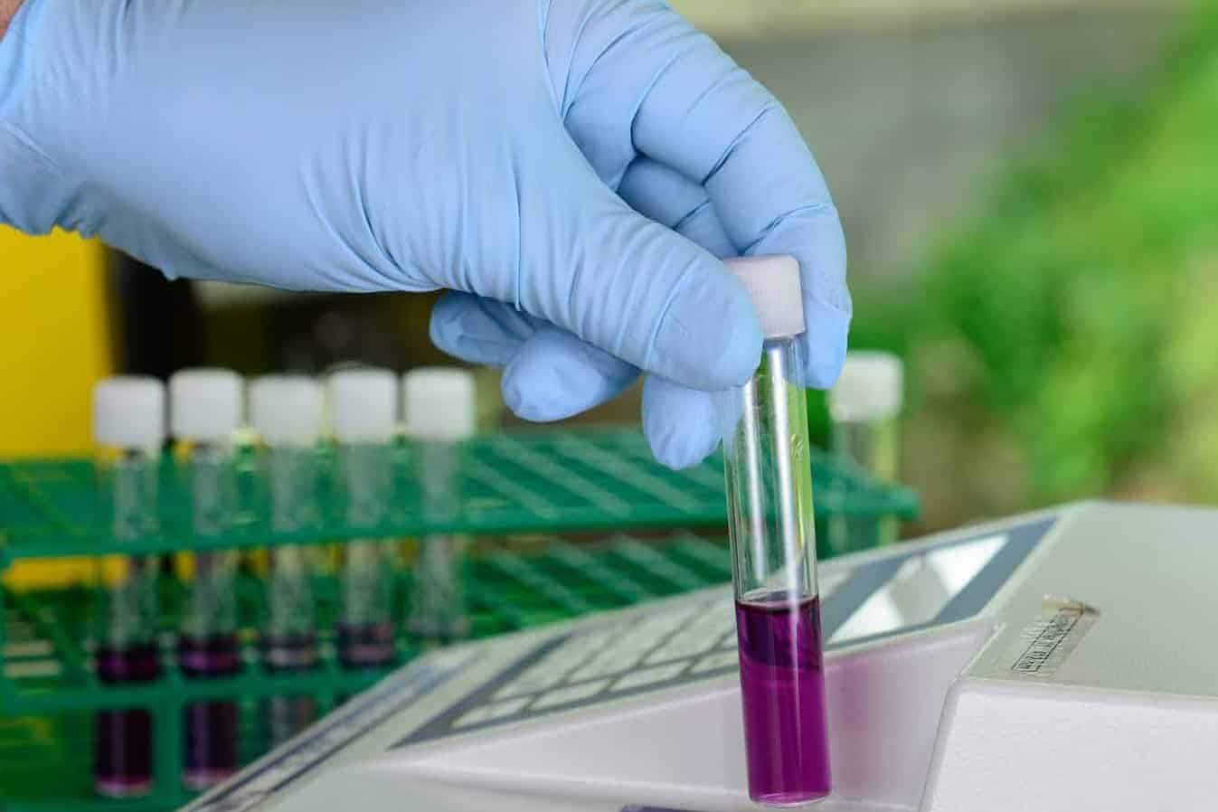 Eine Küvette wird in ein Photometer zur analyse gesteckt.