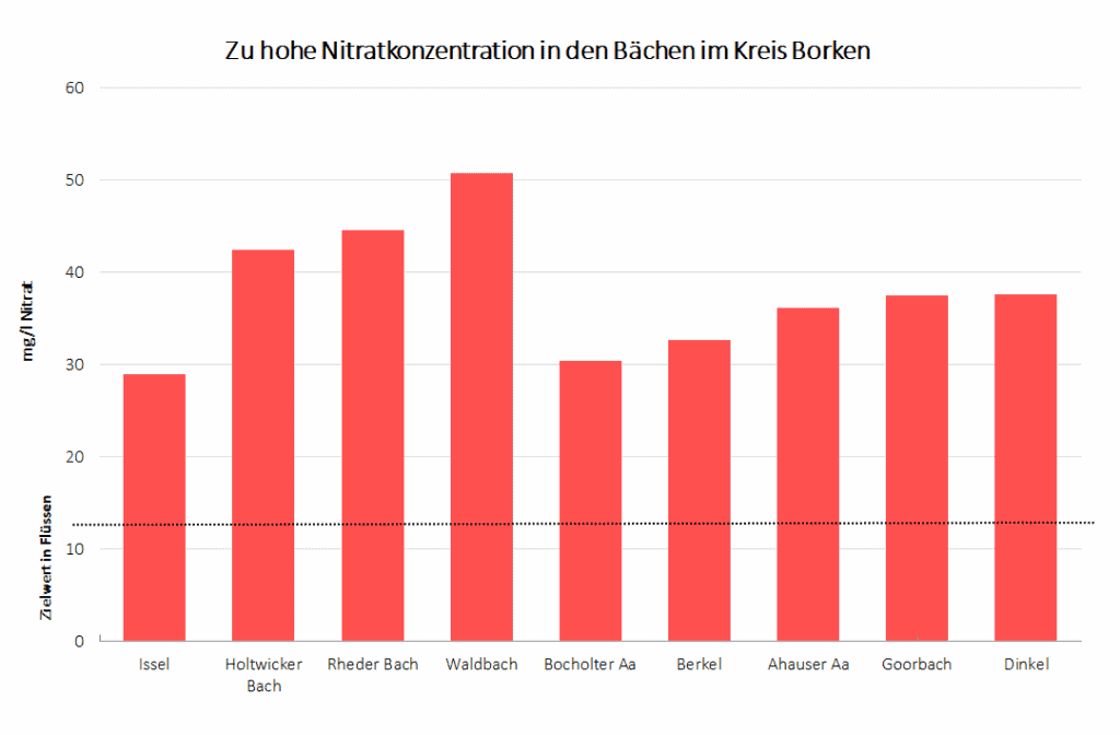 Nitratbelastungsdiagramm von den Bachuntersuchungen in Borken am 10.2023